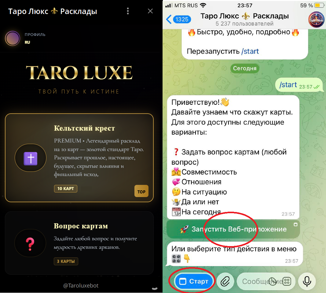 Нажмите для открытия Бот таро перейти